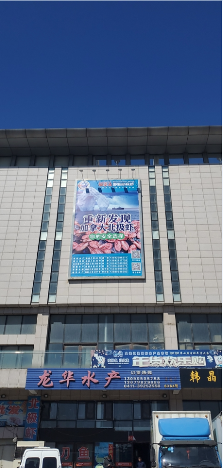 北极虾风暴再临辽渔！大连国际水产品市场成为全球海鲜新焦点